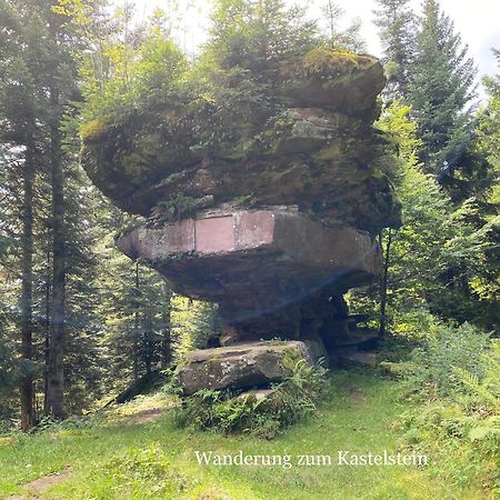 3- 2-1 - Raum - Ferienappartements Dieter Hoffmann Freudenstadt-Kniebis Beim Nationalpark Exterior foto