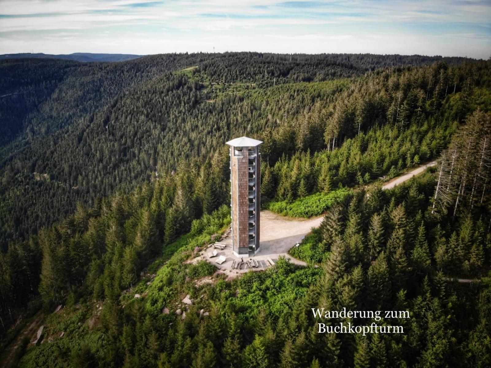 3- 2-1 - Raum - Ferienappartements Dieter Hoffmann Freudenstadt-Kniebis Beim Nationalpark Exterior foto