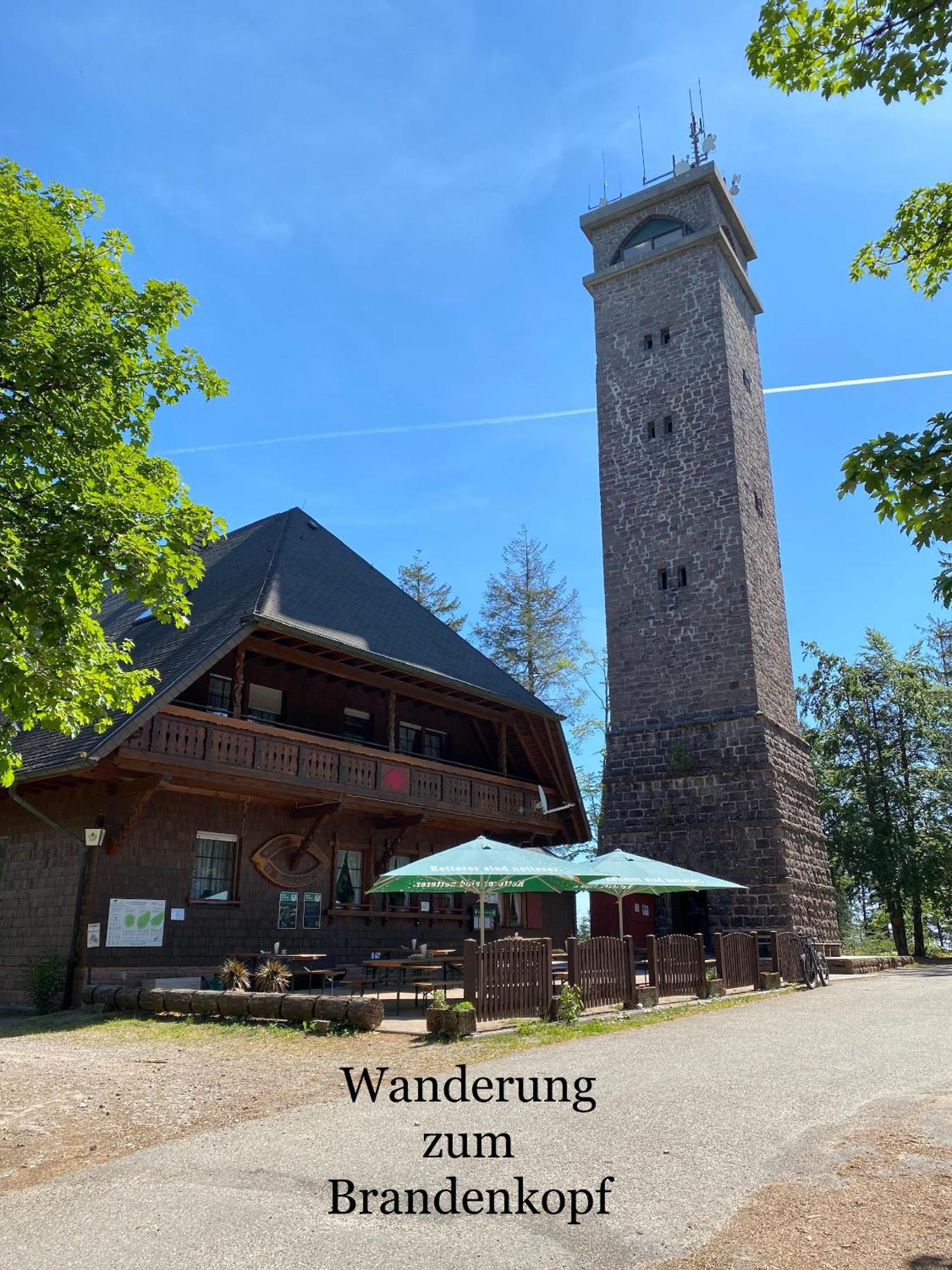 3- 2-1 - Raum - Ferienappartements Dieter Hoffmann Freudenstadt-Kniebis Beim Nationalpark Exterior foto